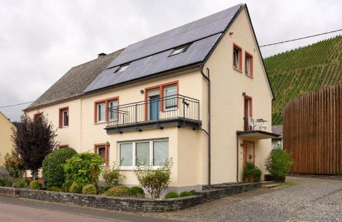 Ferienwohnungen Weingut und Vinothek Regnery - Photo 4