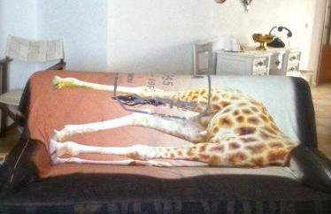 Os 5 Sentidos - Foto 22