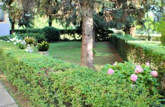 Casa Felice - Foto 4