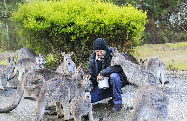 Reflections Burrinjuck Waters - Holiday Park - Foto 74