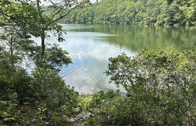 Sauna dog Friendly Amazing Views to ski Slopes - Foto 34