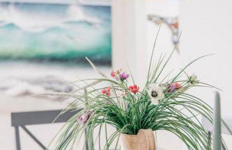 The Salty Turtle - Foto 42