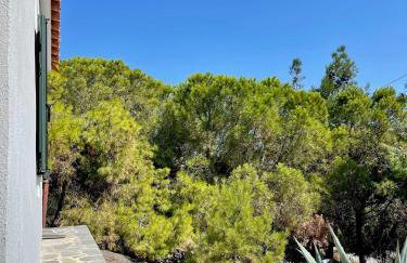 Kalyva Cottage - Foto 27