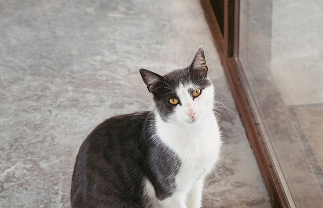 IUTA Glamping & Farm - Foto 57