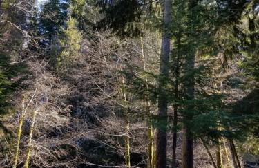 A Relaxing Getaway SolDuc 1 - Foto 32