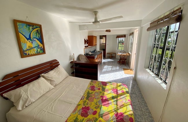 Sea Cliff Eco-Cottages & Gin Distillery - Photo 17