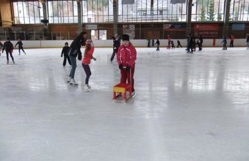 Ferienhaus Schelle - Foto 7