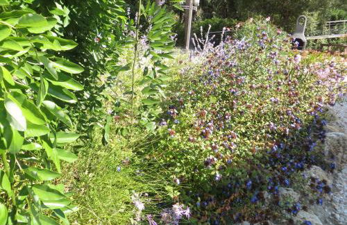 Les Studios-Hôtel de Sommières - Foto 58