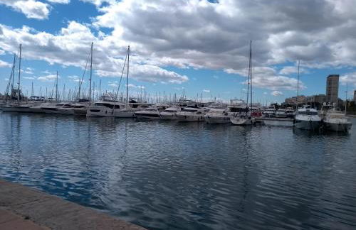 La Estrella de Alicante - Foto 35