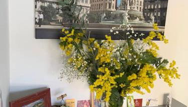 Le silence des toits / Silence under the roofs - Photo 3