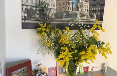 Le silence des toits / Silence under the roofs - Photo 3