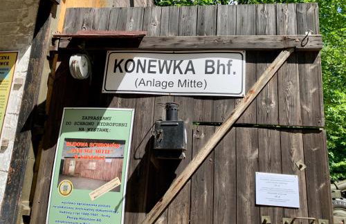 Góra Spokoju Osada klimatyczna-leśna - Foto 25