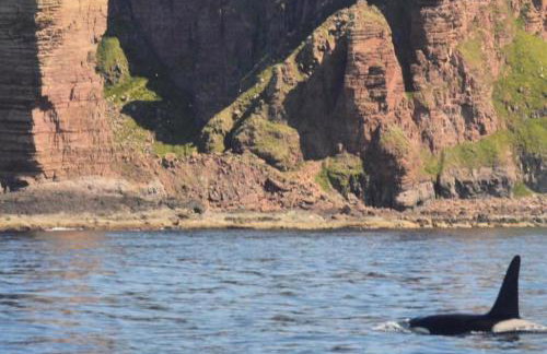 Withi-Gill - Cottage - Bay of Ireland Views - Foto 21