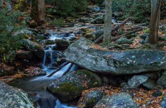 Lazy Bear Den - Foto 45