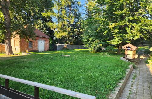 appartement T3 avec jardin proche village - Foto 58