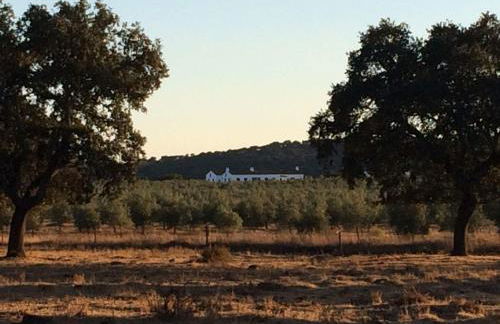 Herdade da Burquilheira Family Retreat - Foto 31