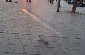 Apartamento Migos 350m from the sea, Playa del Acequión, - Foto 37