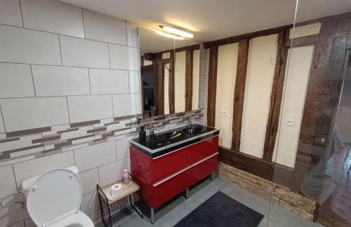 LE GRUON DU LAC - Foto 7