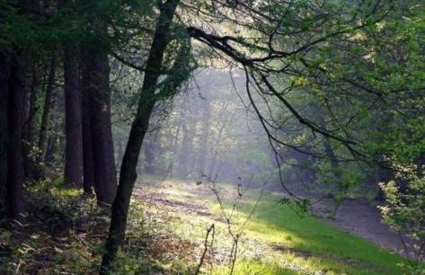 The Dotterry - Foto 9