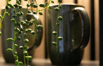 Akasha Spa Retreat Cottage - Foto 35