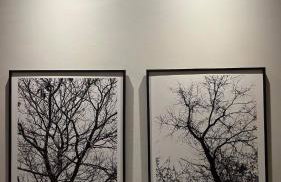 Comforto, lazer e trabalho, tudo perto - Foto 26