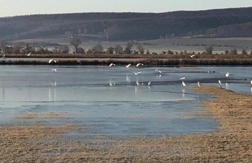 Ferienhaus unterm Schiefen Turm - Photo 52