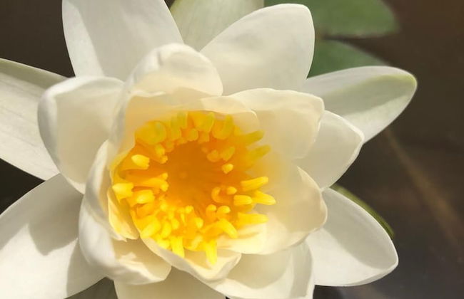 Agriturismo Vivinatura - Foto 76