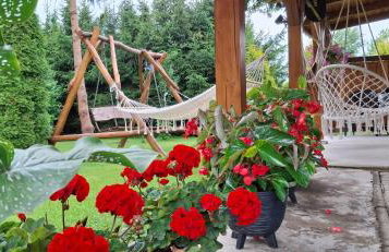 Dom pod Śnieżnikiem - Foto 17