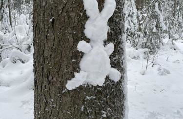 Spirkenhütte Fichtelberg - Ferienhaus bis 6 Personen - mit Sauna - am Fichtelsee - Photo 20