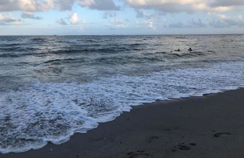 The Blue Island - Foto 2