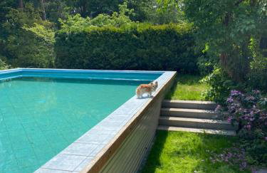 Holiday Villa Żuromino - Foto 47