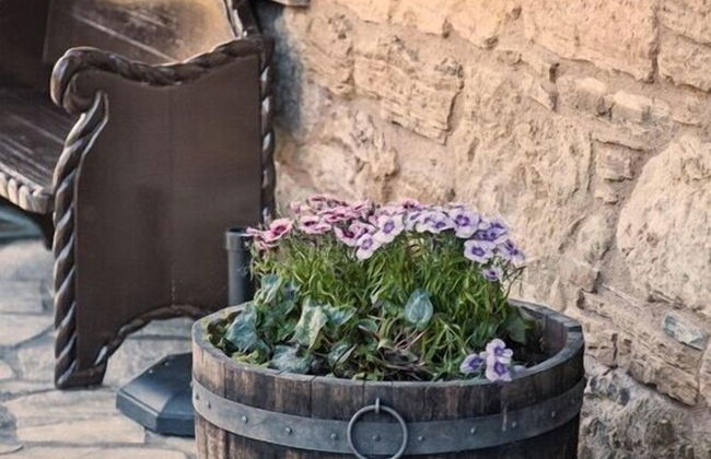 Paraíso del Bierzo - Foto 25