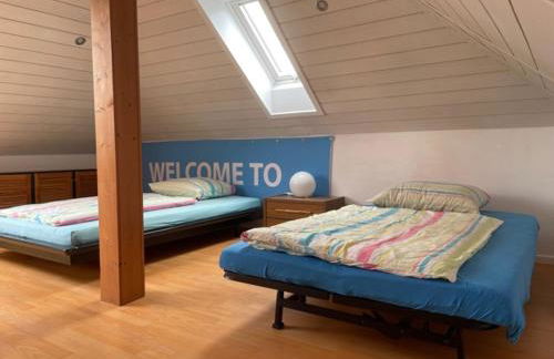 Sonnenschein - Foto 38