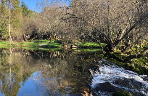 Moinho de Vento (CASA DE MADEIRA) - Foto 17