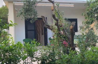 Whole house Ariela, 20m to the beach, has a barbecue, 2 terraces - Foto 6