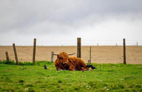 Wynstone Cottage, Speyside - Foto 33