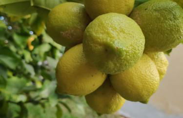 Angolo Azzurro - Foto 18