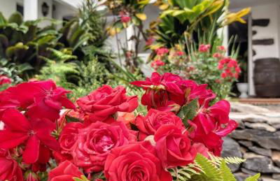 Casa la plaza - Foto 11