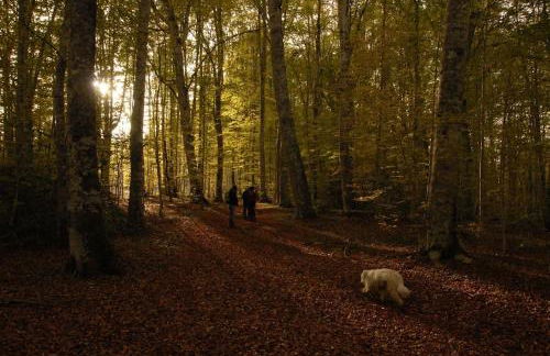 Tana Libera Tutti 3 Nature, Yourself, Love - Foto 47