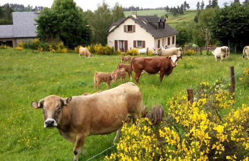 Gîtes de Charme 6 ou 8 personnes en Aubrac chez Sébastien & Stéphanie - Foto 54