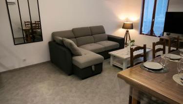 Appartement 6-8 personnes, gîte, climatisé, classé 3 étoiles, proche du zoo de Beauval et des châteaux de la Loire - Photo 3