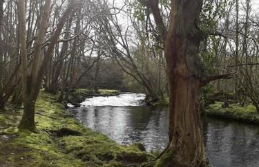 Stunning 3 Bed Riverside Cabin in Snowdonia - Photo 36