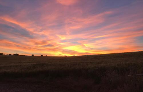 Higher Trewithen - Photo 47