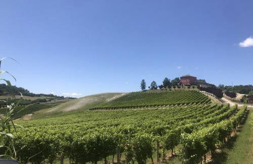 Cascina Liebe Whirlpool Sauna Monferrato CXL OCT 2023 - Foto 100