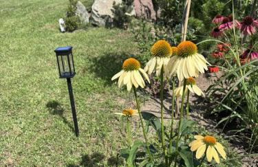 Pokoje Gościnne Nad Jeziorem - Foto 48