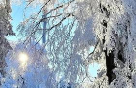 Apartment mit Wintergarten und Terrasse in ruhiger Lage im schönen Taunus - Foto 47