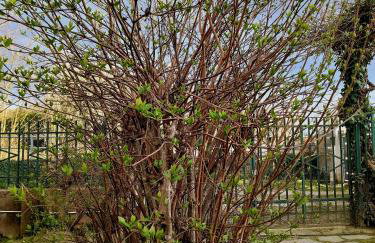 Casa di Bimba - Foto 19