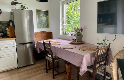 Klimatyczny dom z widokiem na Babią - kominek i ogrodzenie - Foto 6