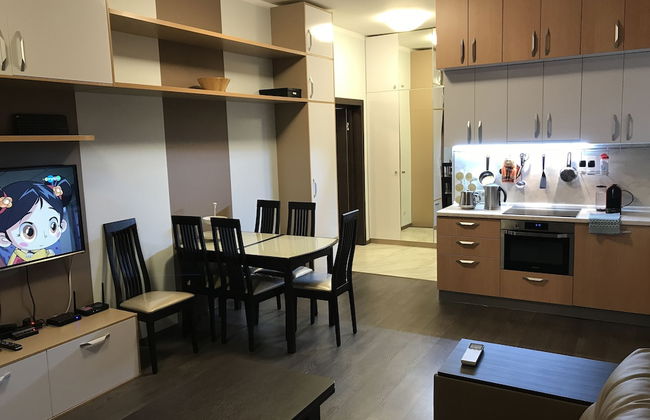 Fenix Deluxe Apartment on Parusnaya 21 - 603 - Photo 7