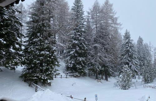 COSTALUNGAHOUSE TrekkingBikeSki selfcheck-in apartment - Foto 20